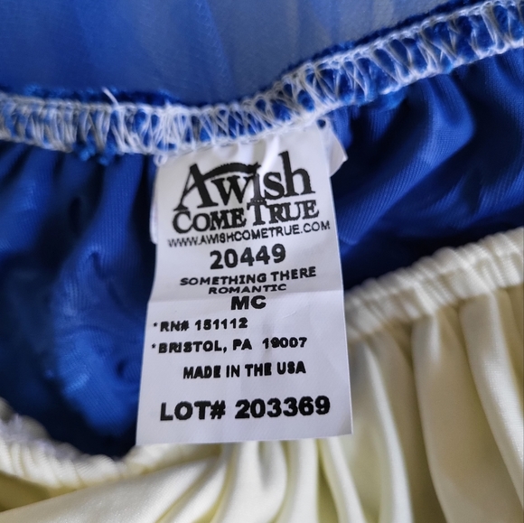 A Wish Come True Blue Ballet Dance Costume MC - Picture 6 of 7